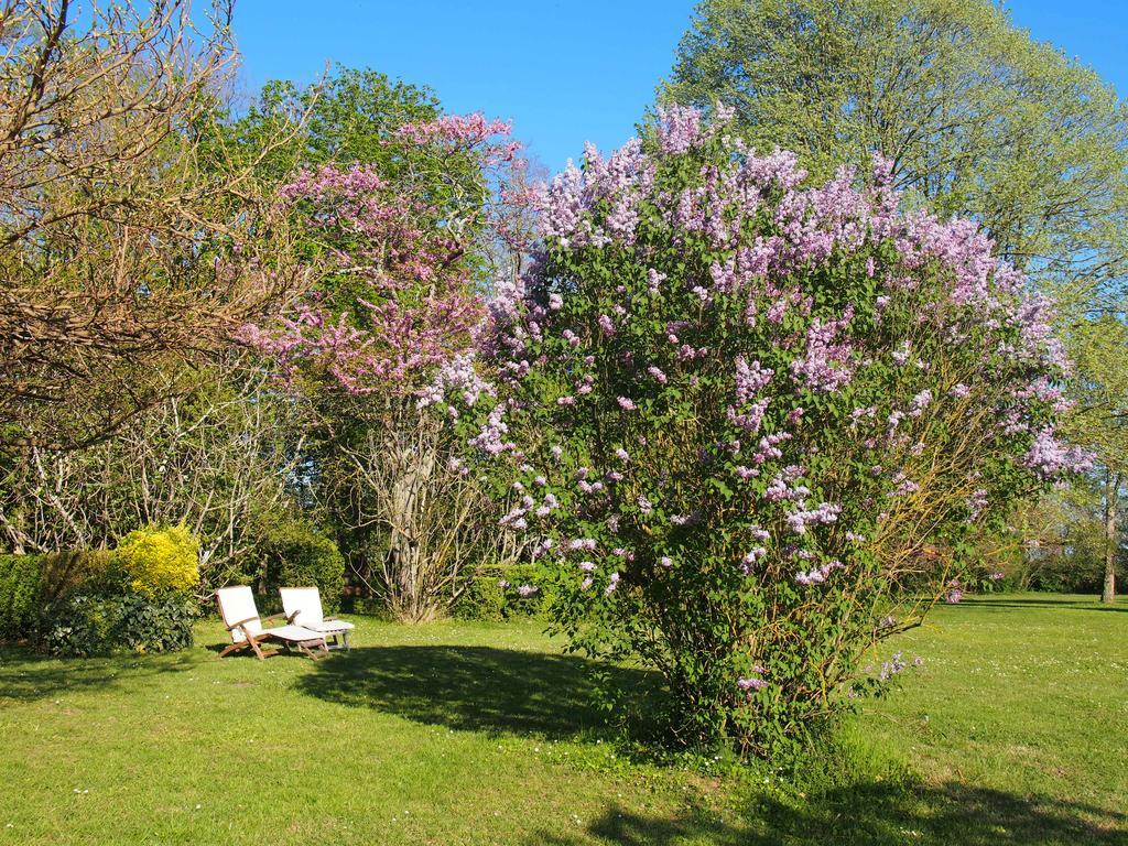 Gite De Charme Au Bord Du Tarn Marssac-sur-Tarn Exterior foto